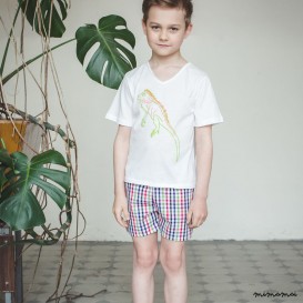 Leon Stylish shorts and v neck t-shirt