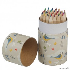 Bird Colouring Pencils