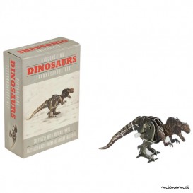 Make your own wind Up T-Rex