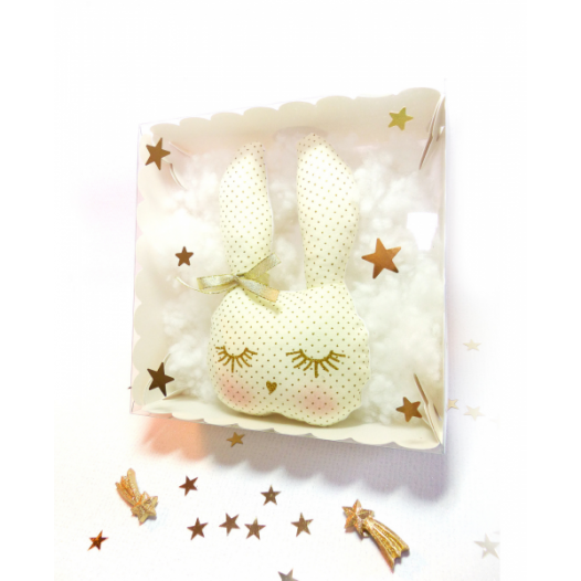 pacco-le-lapin-trop-bessau.jpg