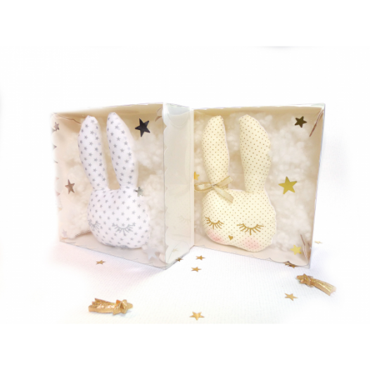 pacco-le-lapin-tropss-beau.jpg
