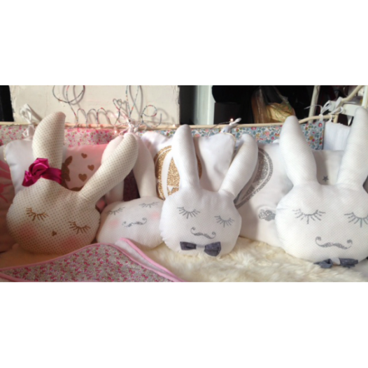 pacco-le-lapin-trop-dddbeau.jpg