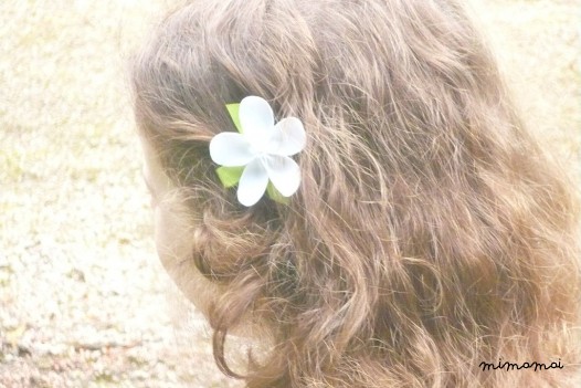 Hair Clip Set Of 3 - Nori