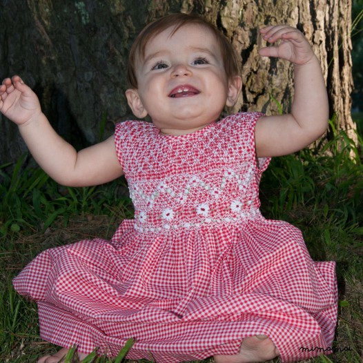 Gingham dress Pale Swallowtail