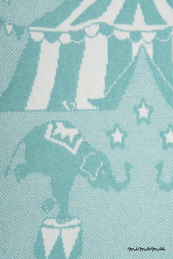 Personalizzato coperta, coperta personalizzata, vivaio di circo, personalizzati bambino