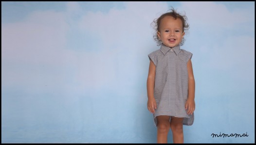 Molly Dress CharStripe