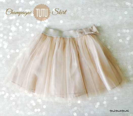 Little Girl Tulle Skirt 2-4y
