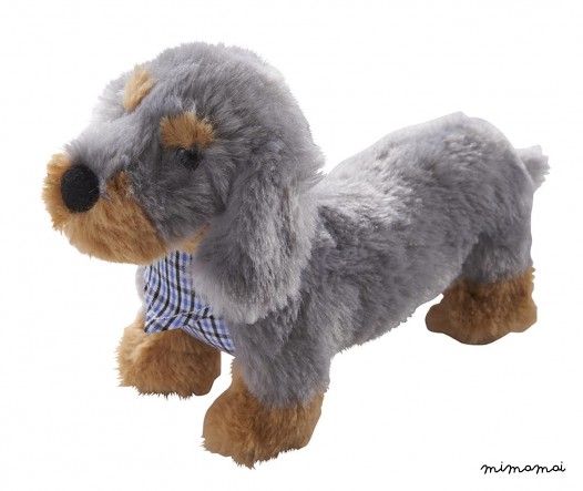 Dog Zamperl