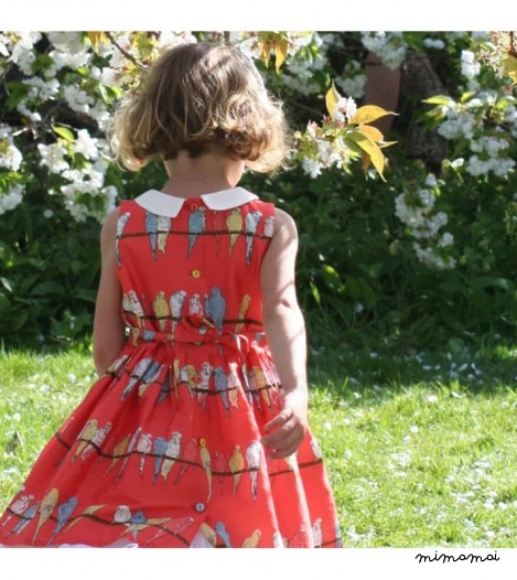 Girls Penny Dress in Pink Budgies