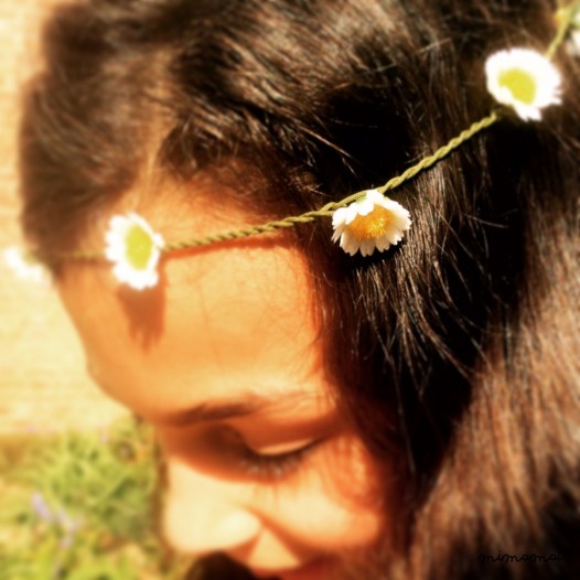 Silky Daisy Chain Gift Box