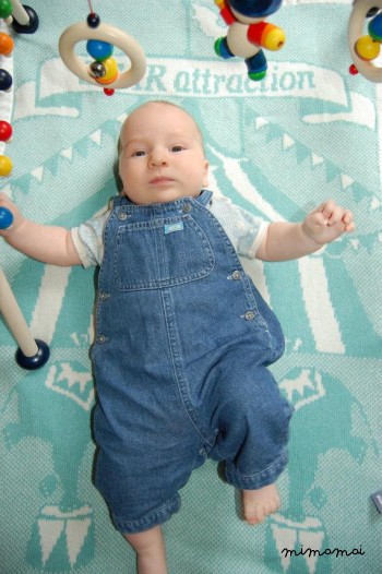 Personalizzato coperta, coperta personalizzata, vivaio di circo, personalizzati bambino