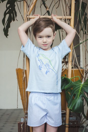 Leon Stylish shorts and v neck t-shirt