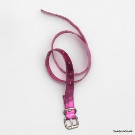 Dicki Belt