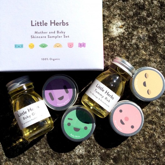 Little Herbs Sampler Set - Try for Yourself